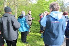 Kräuterwanderung24062020